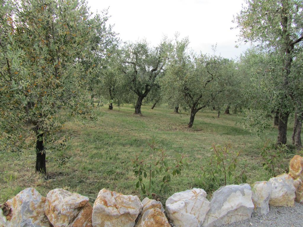 רפולאנו טרמה Agriturismo Borghetto Il Montino מראה חיצוני תמונה