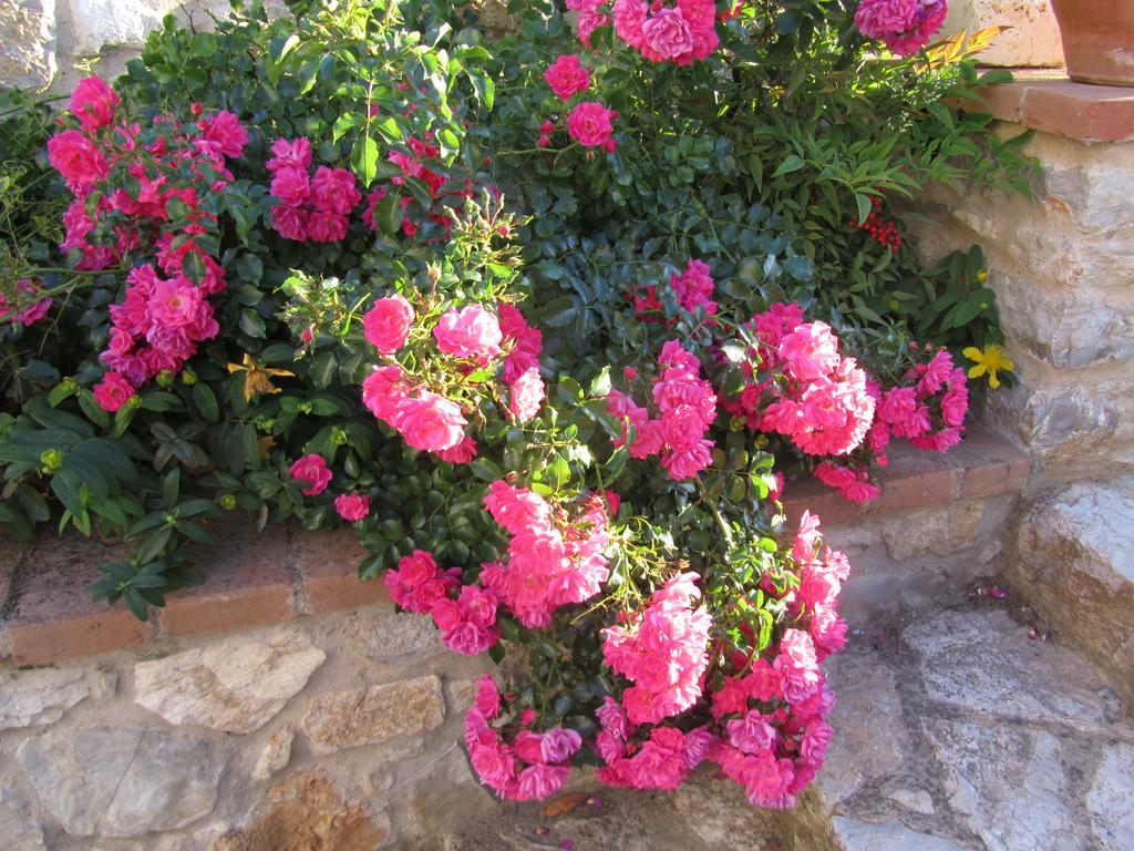 רפולאנו טרמה Agriturismo Borghetto Il Montino מראה חיצוני תמונה