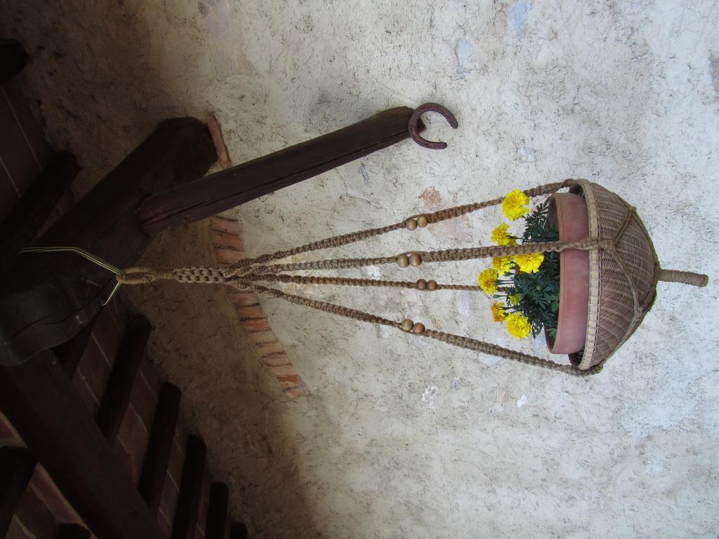 רפולאנו טרמה Agriturismo Borghetto Il Montino מראה חיצוני תמונה