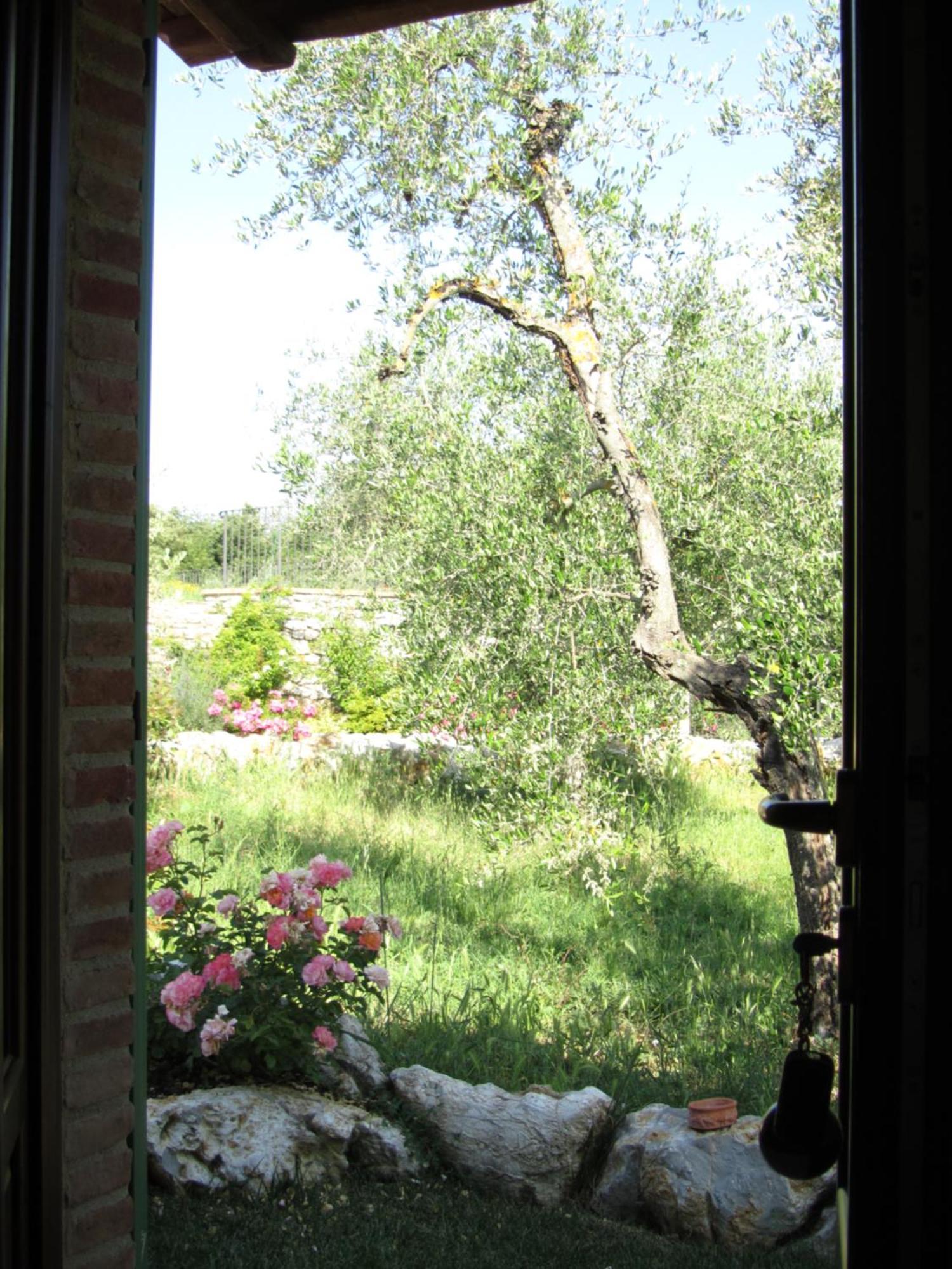 רפולאנו טרמה Agriturismo Borghetto Il Montino מראה חיצוני תמונה