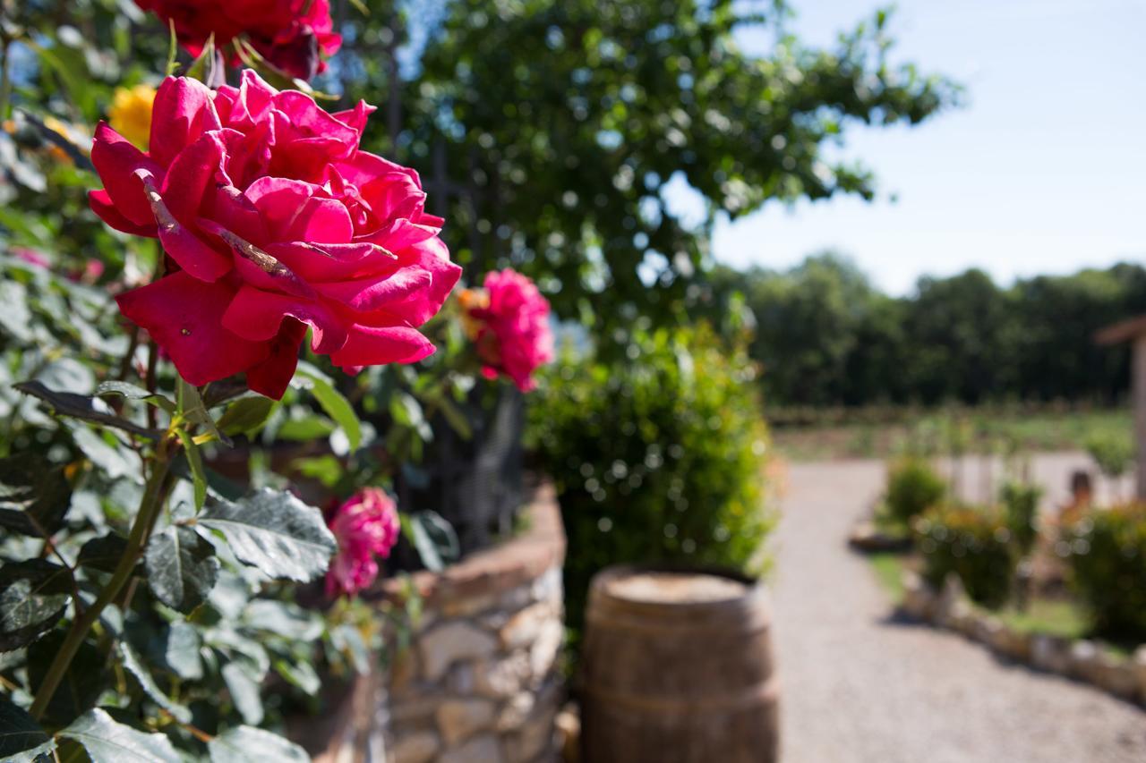 רפולאנו טרמה Agriturismo Borghetto Il Montino מראה חיצוני תמונה