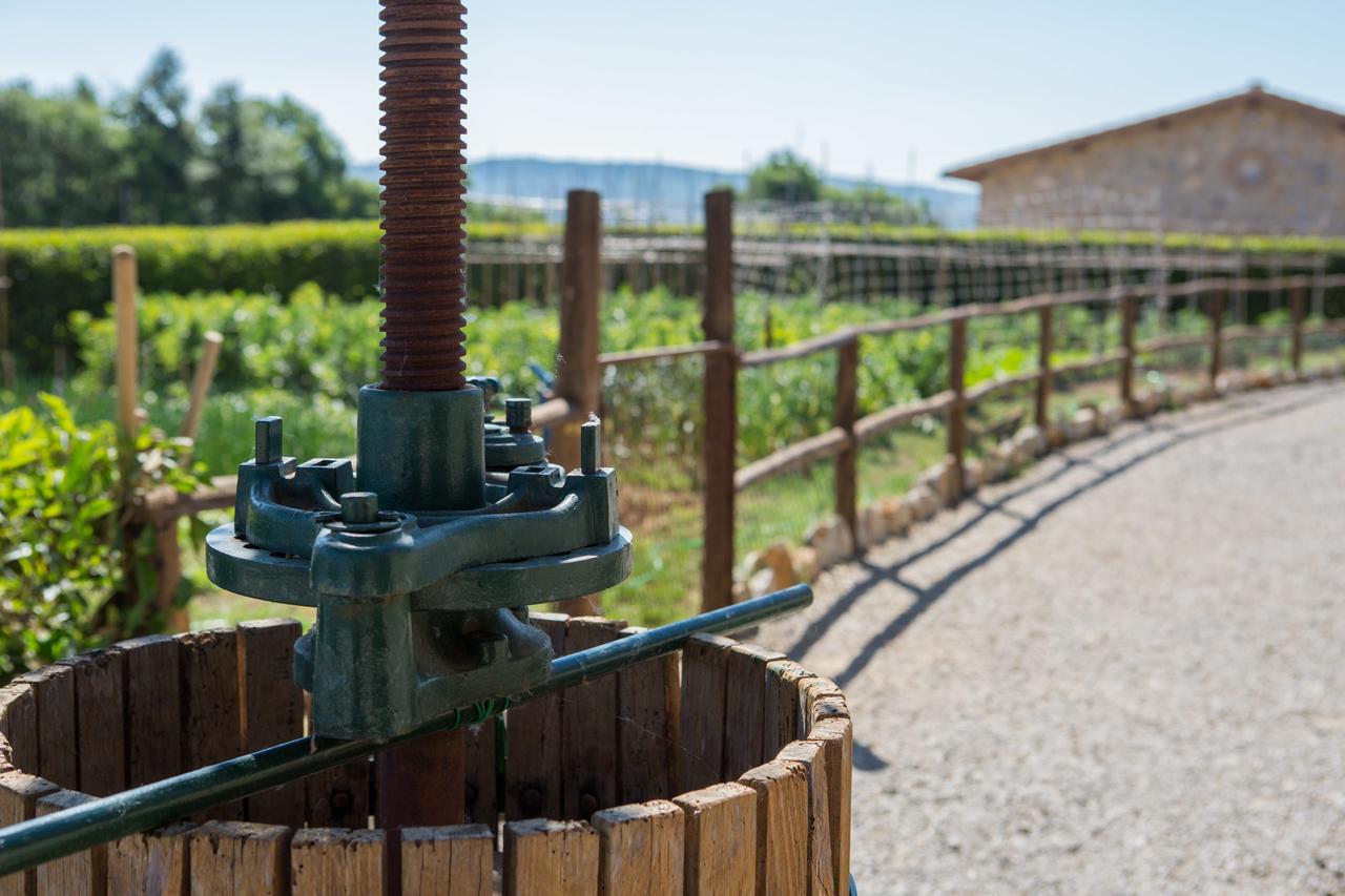 רפולאנו טרמה Agriturismo Borghetto Il Montino מראה חיצוני תמונה
