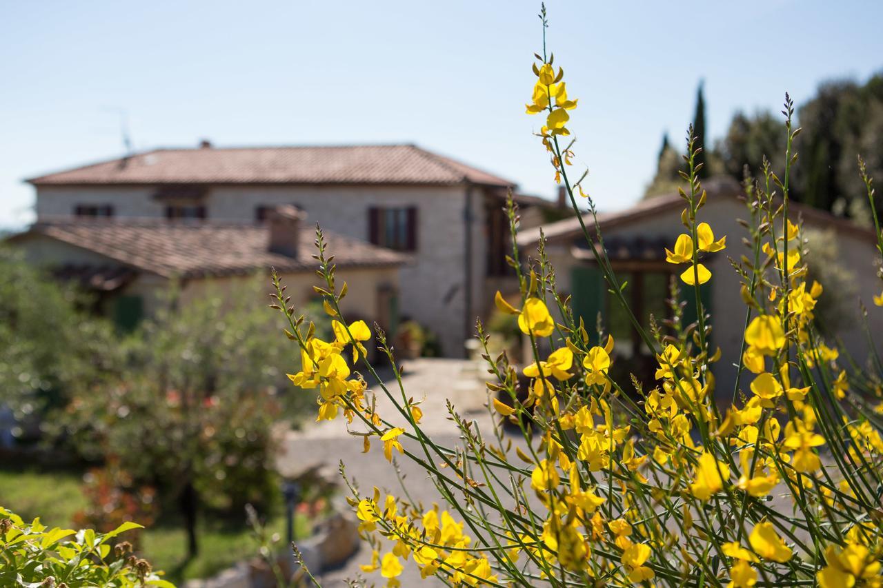 רפולאנו טרמה Agriturismo Borghetto Il Montino מראה חיצוני תמונה
